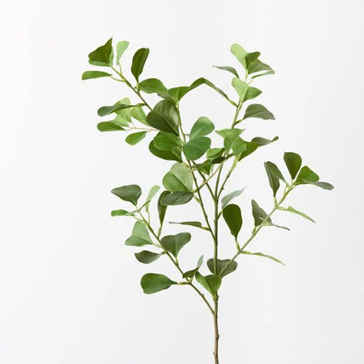 FLORAL INTERIORS Triangle Ficus Spray