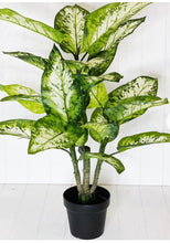 Load image into Gallery viewer, Artificial Potted Dumb Cane - 93cm
