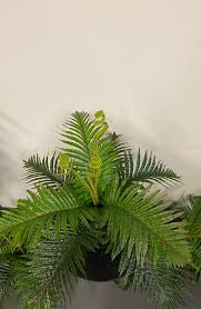 Artificial Boston Fern in Pot