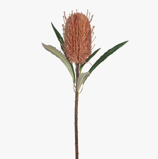 FLORAL INTERIORS ARTIFICIAL Coastal Banksia Soft Pink 58cm