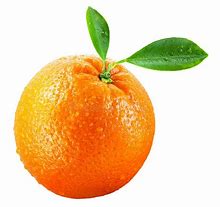 Fruit Orange with Leaf