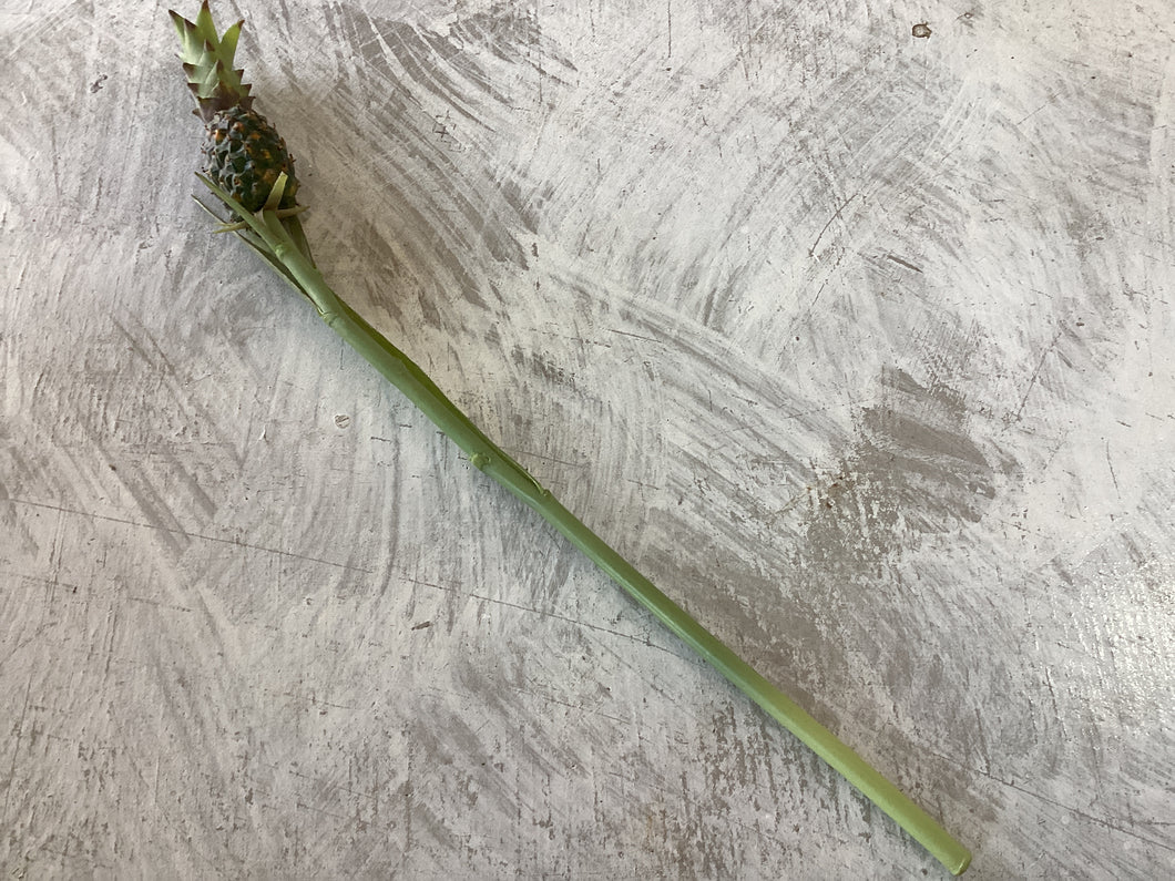 Pineapple Leaf Stem